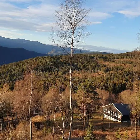 Fjellstoge & Storhytte Hjartdal