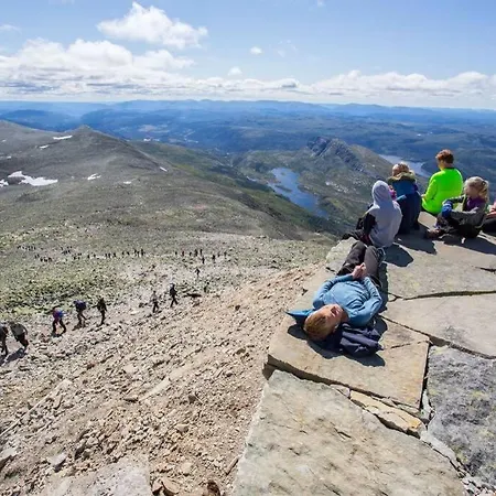 Fjellstoge & Storhytte Hjartdal