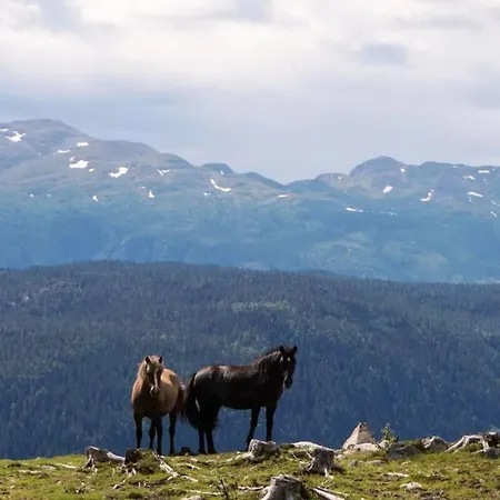 Fjellstoge & Storhytte