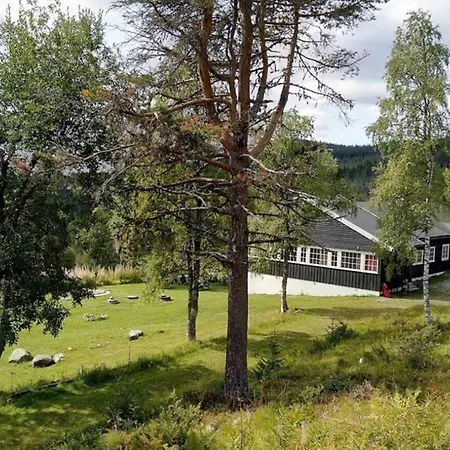 Dom wakacyjny Fjellstoge & Storhytte