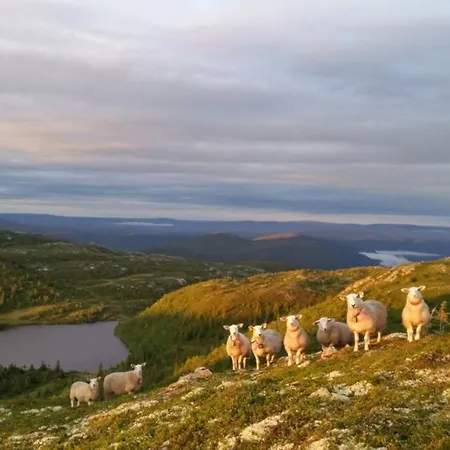 Fjellstoge & Storhytte Holiday home