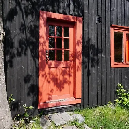 Fjellstoge & Storhytte * Hjartdal