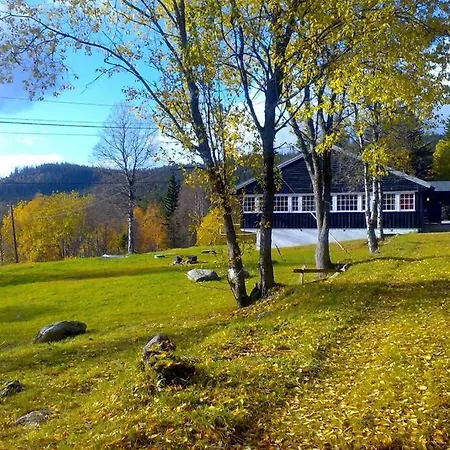 Fjellstoge & Storhytte Semesterbostad Hjartdal