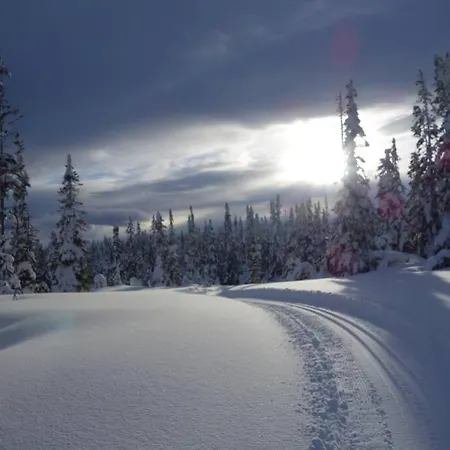 Fjellstoge & Storhytte Semesterbostad Hjartdal