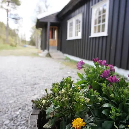 Fjellstoge & Storhytte *