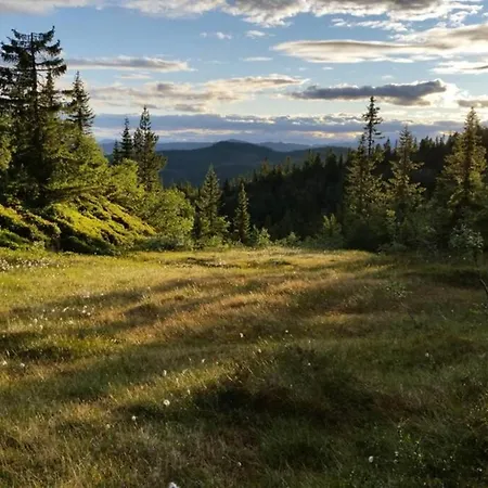 Fjellstoge & Storhytte * Hjartdal