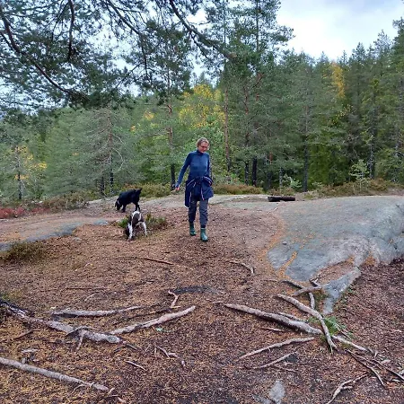 Fjellstoge & Storhytte *