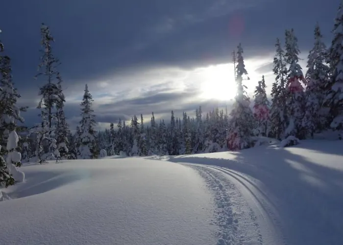 Fjellstoge & Storhytte Dom wakacyjny Hjartdal