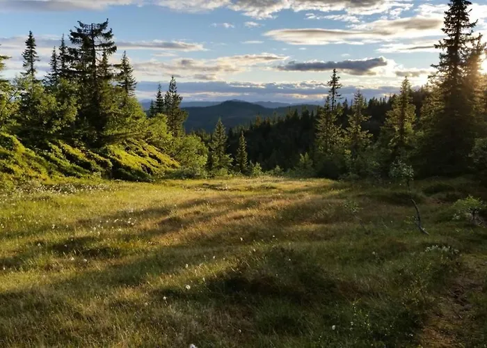 Fjellstoge & Storhytte * Hjartdal