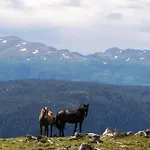 Fjellstoge & Storhytte