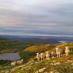 Fjellstoge & Storhytte Prázdninový dům