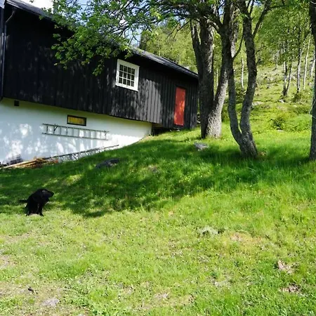 Fjellstoge & Storhytte Prázdninový dům Hjartdal